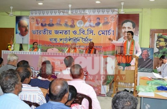 BJP OBC morcha held executive meeting